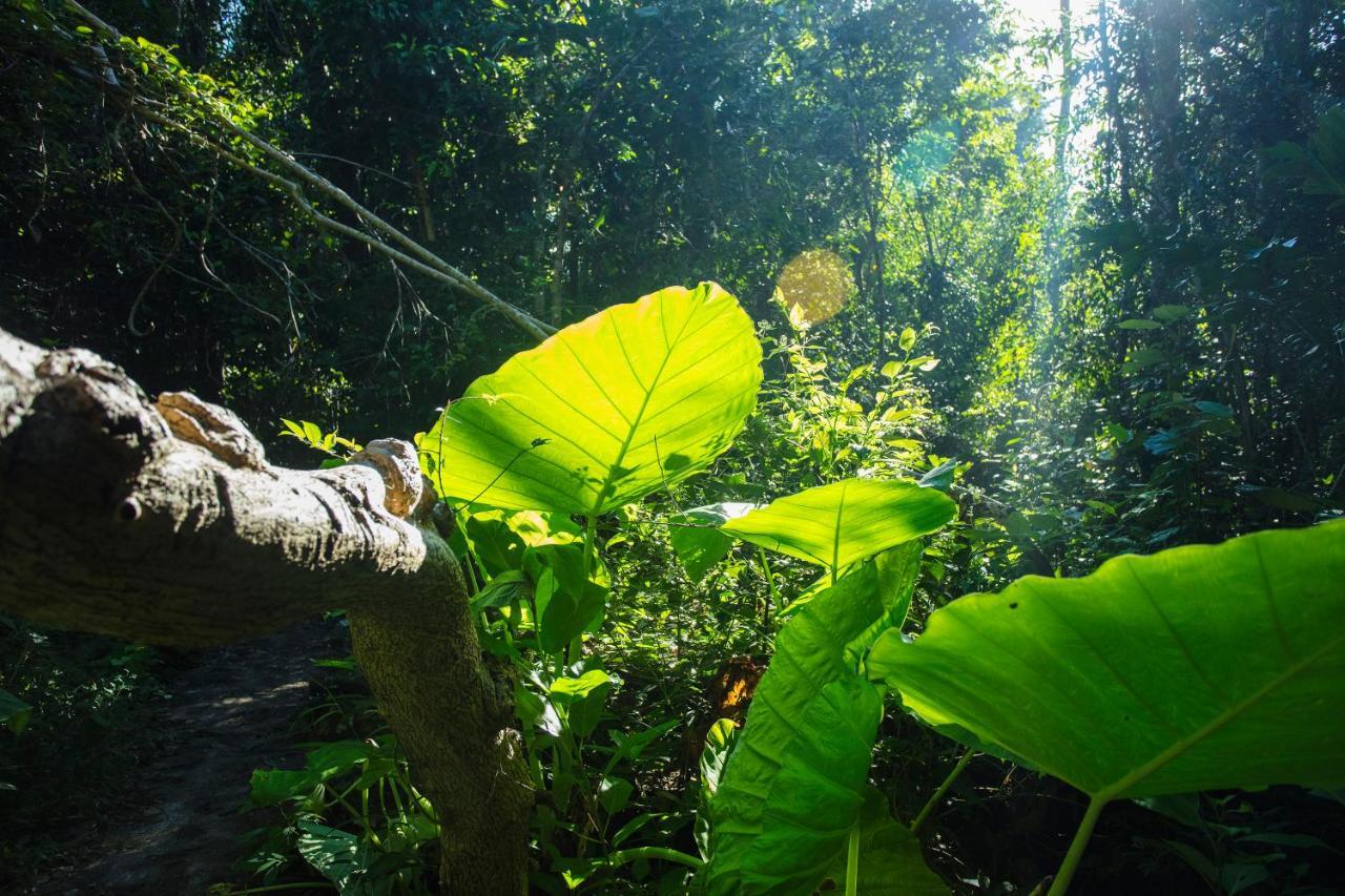 Cat Tien Jungle Lodge Luaran gambar